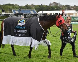 horse Redzel xx (Thoroughbred, 2012, from Snitzel xx)