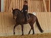 dressage horse Vendetta CH (Swiss Warmblood, 2009, from Quality 9)