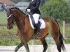 dressage horse Jazz Queen Mfw CH (Swiss Warmblood, 2012, from Glock's Johnson Tn)