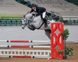 broodmare Ampaya vd Leuba (Oldenburg show jumper, 2014, from Cellestial)