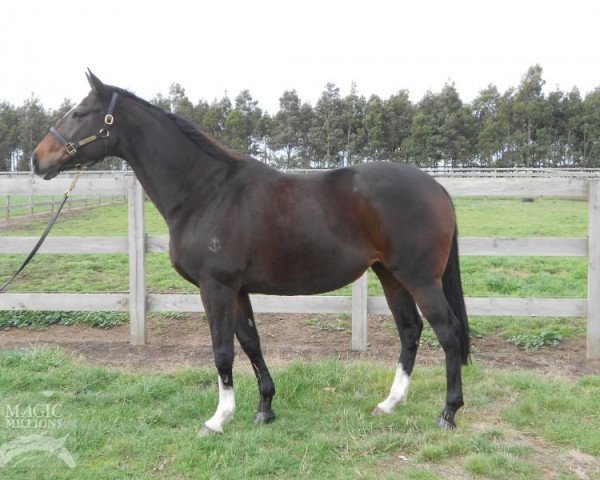 broodmare La Amistad xx (Thoroughbred, 2009, from Redoute's Choice xx)