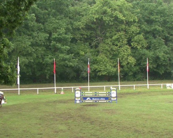 Schenefelder Sommerturnier 2015 - Horse & Classic