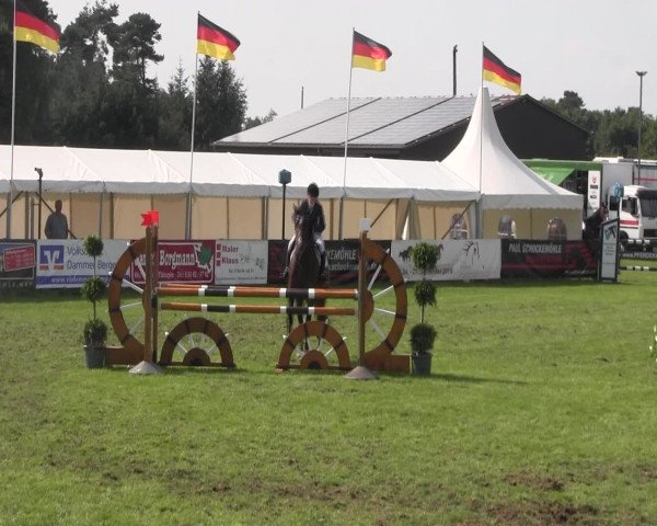 Reitturnier Holdorf 2015