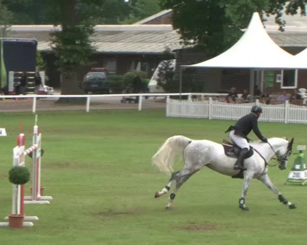 Schenefelder Sommerturnier 2015 - Horse & Classic