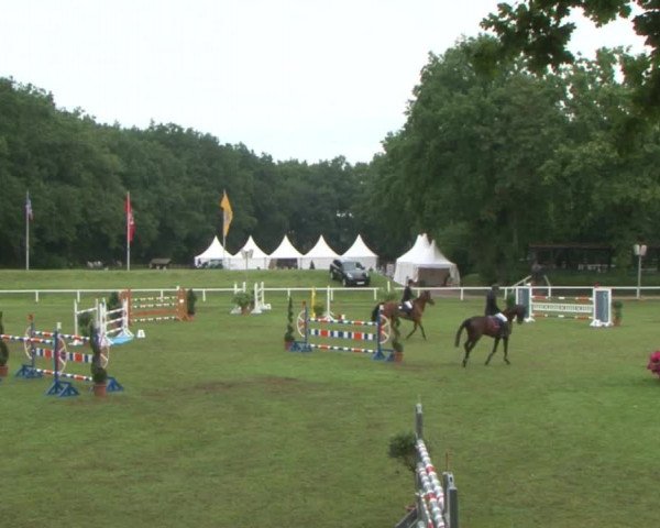 Schenefelder Sommerturnier 2015 - Horse & Classic