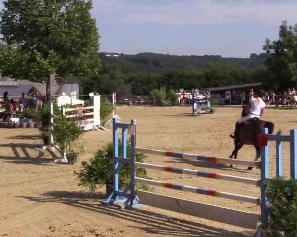 Reitturnier Bühren-Breckerfeld 2015
