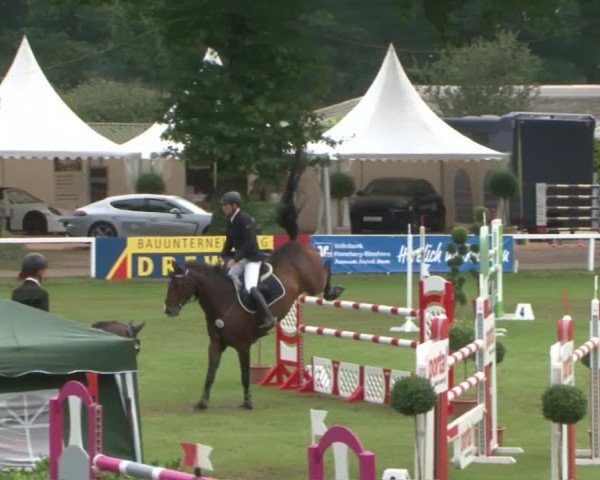 Schenefelder Sommerturnier 2015 - Horse & Classic