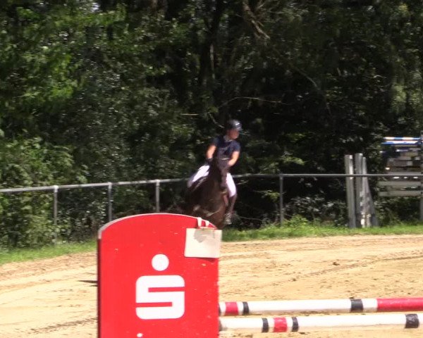 Reitturnier Bühren-Breckerfeld 2015