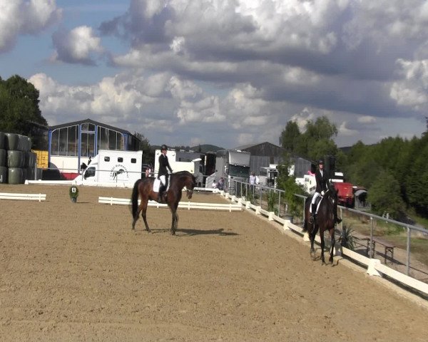 Reitturnier Bühren-Breckerfeld 2015