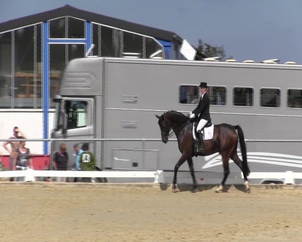 Reitturnier Bühren-Breckerfeld 2015