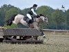 Springpferd Chapeau Claque 43 (Deutsches Reitpony, 2009, von FS Champion de Luxe)