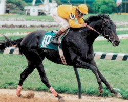 stallion Swale xx (Thoroughbred, 1981, from Seattle Slew xx)