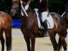 dressage horse Insterzauber 2 (Trakehner, 2009, from Grand Passion)