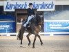 dressage horse Gonzo VA (Hanoverian, 2002, from Grosso Z)