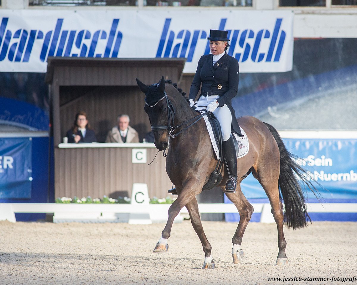 dressage horse Belfast (Hanoverian, 2009, from Benetton Dream FRH 1301)