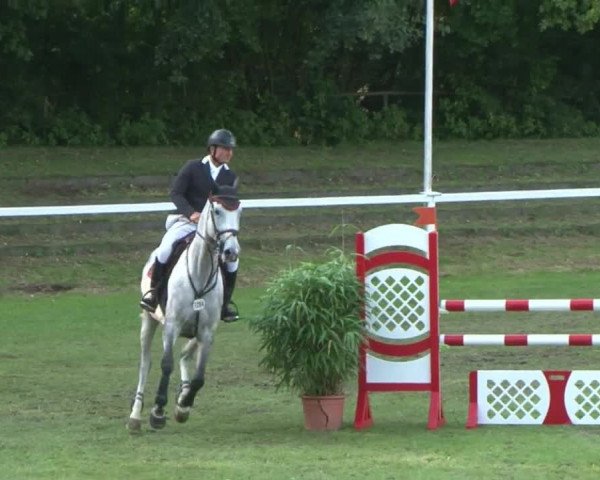 Schenefelder Sommerturnier 2015 - Horse & Classic