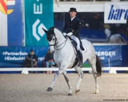 dressage horse Stella 1023 (Bavarian, 2008, from Silvermoon)