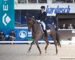 dressage horse Favory A.S. (Swedish Warmblood, 2010, from Damon Hill)