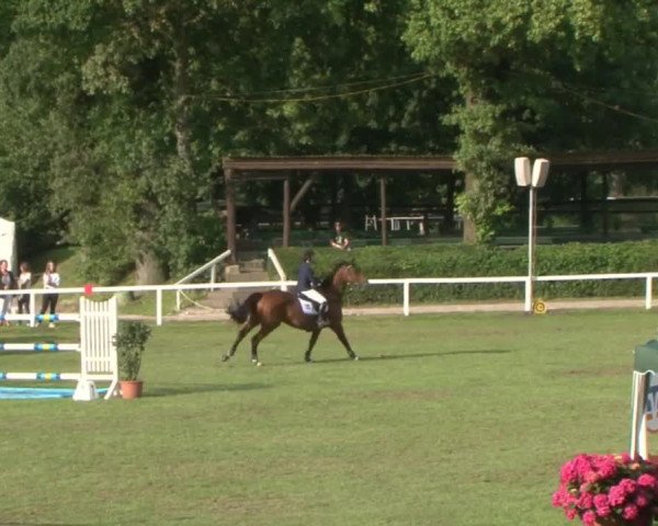 Schenefelder Sommerturnier 2015 - Horse & Classic