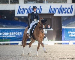 dressage horse Ferguson Delux (Westphalian, 2008, from Fürst Piccolo)