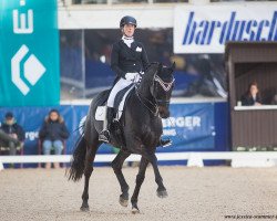 dressage horse Emiliano (KWPN (Royal Dutch Sporthorse), 2009, from Sandro Hit)