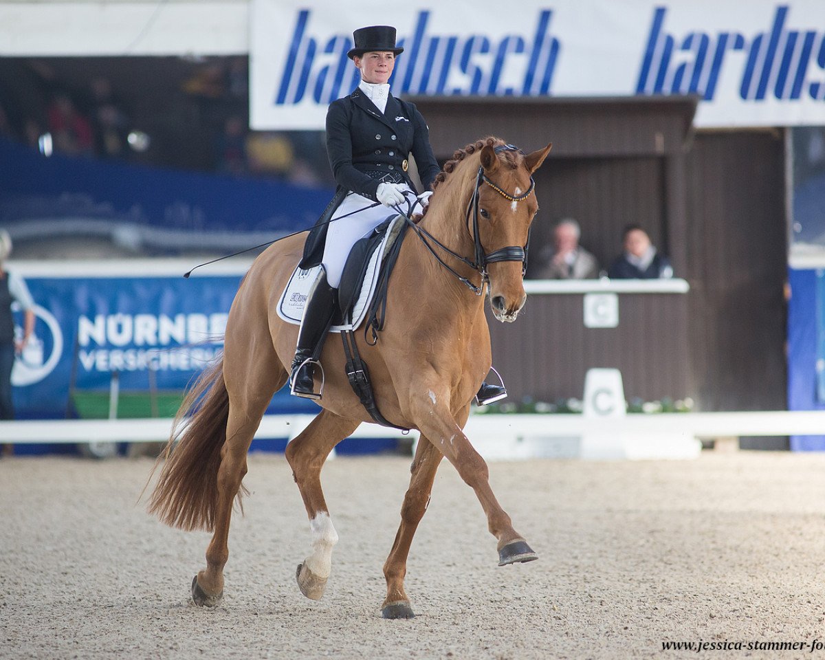 stallion Duisenberg (Hanoverian, 2009, from Desperados FRH)