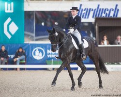 dressage horse Blackmoney (Oldenburg, 2010, from Bordeaux 28)