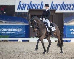 dressage horse Amaretto W (KWPN (Royal Dutch Sporthorse), 2005, from Flemmingh)