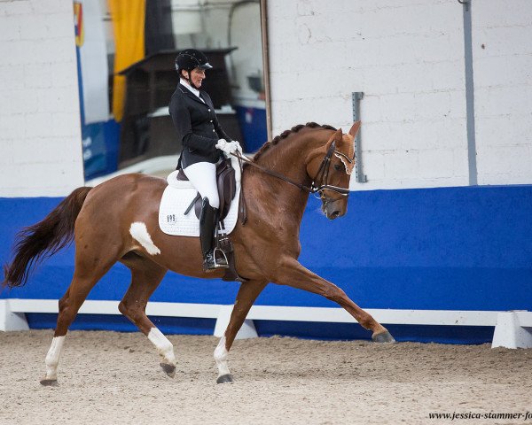 dressage horse Lichtblick S (Hanoverian, 2013, from Henglein's Licosto)