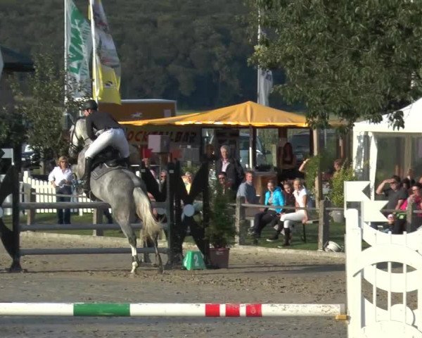 Bad Rothenfelder Reitertage 2015