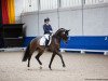 dressage horse Odette 63 (German Sport Horse, 2014, from Grey Flanell)