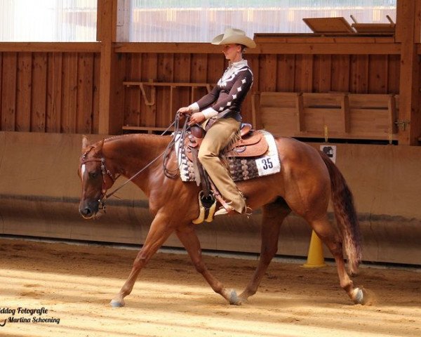 Pferd Jacs Little Wimpy (Quarter Horse, 2014)