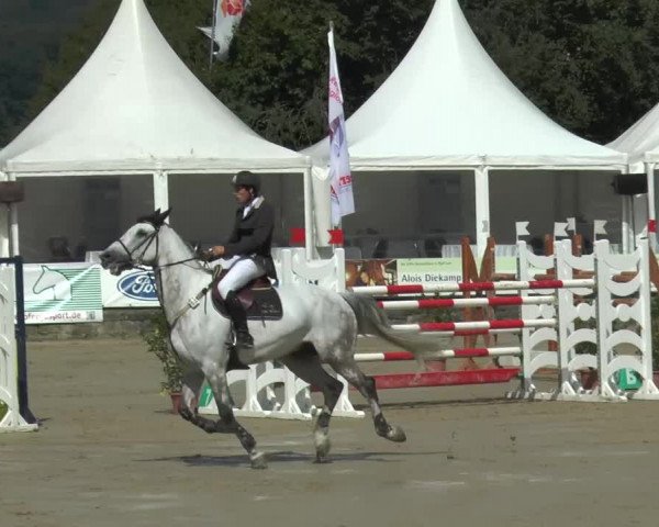 Bad Rothenfelder Reitertage 2015