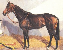 broodmare Comprida xx (Thoroughbred, 1983, from Windwurf xx)