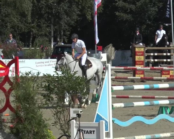 Bad Rothenfelder Reitertage 2015