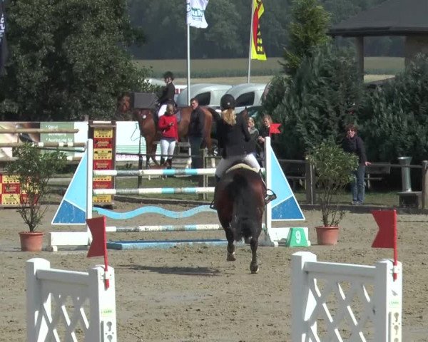 Bad Rothenfelder Reitertage 2015