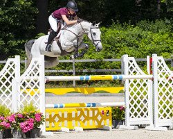 Springpferd Naomi van het Keizershof (Belgisches Warmblut, 2013, von VDL Cardento 933)