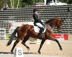 dressage horse Vanotti (Westphalian, 2013, from Vitalis)