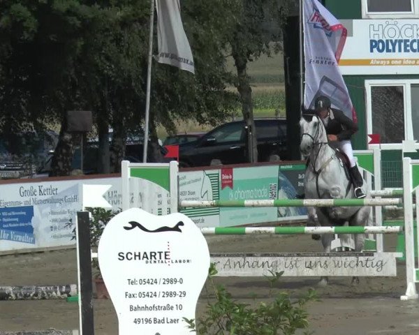 Bad Rothenfelder Reitertage 2015