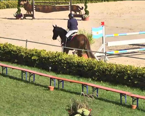 Reitturnier Waldachtal-Heiligenbronn 2015