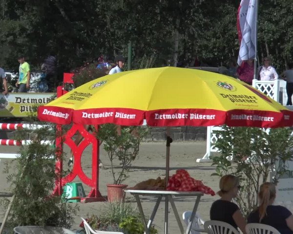 Bad Rothenfelder Reitertage 2015