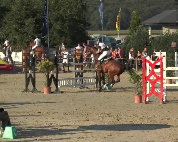 Bad Rothenfelder Reitertage 2015