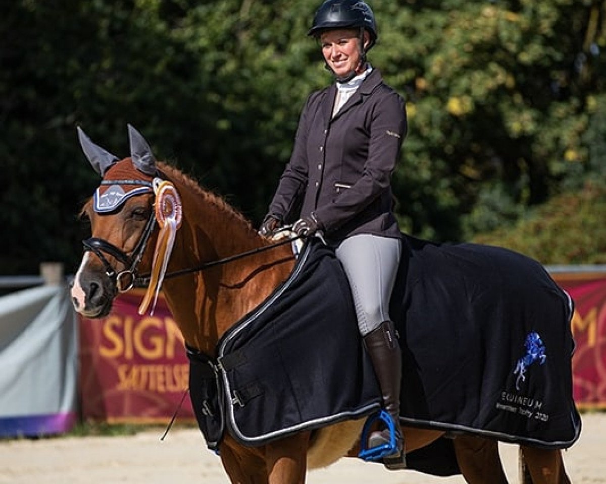 Pferd Little Dancer 13 (Deutsches Reitpony, 1999, von Golden Dancer)
