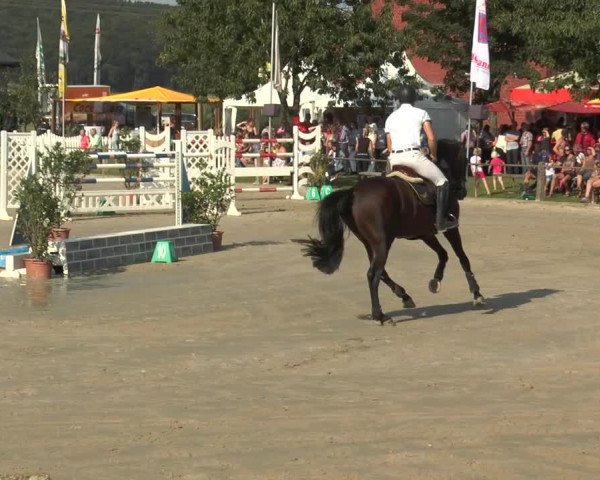 Bad Rothenfelder Reitertage 2015