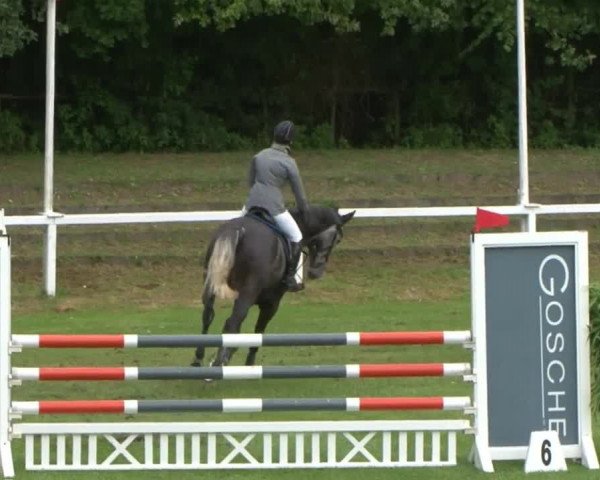 Schenefelder Sommerturnier 2015 - Horse & Classic