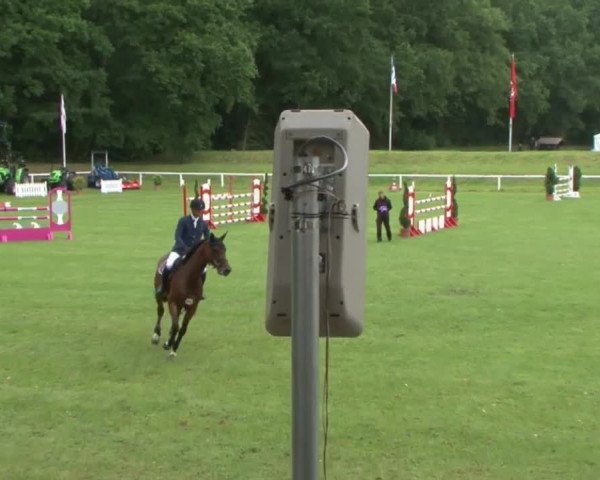 Schenefelder Sommerturnier 2015 - Horse & Classic
