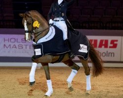 dressage horse Die Fuerstin OLD (Oldenburg, 2010, from Don Romantic)