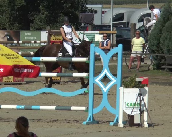Bad Rothenfelder Reitertage 2015