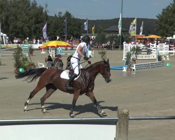 Bad Rothenfelder Reitertage 2015