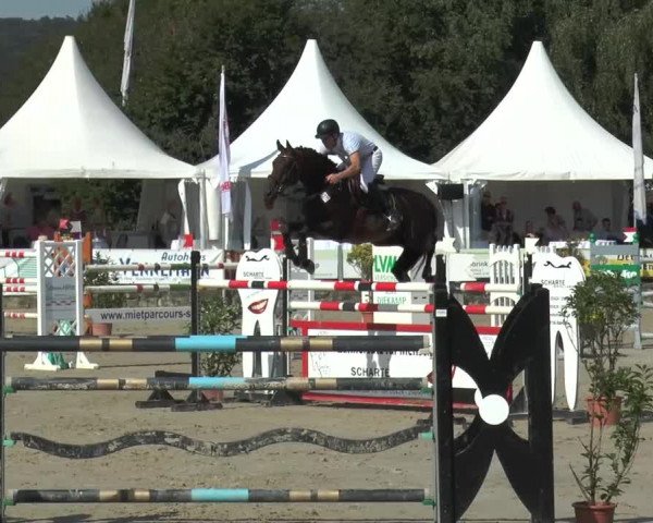 Bad Rothenfelder Reitertage 2015